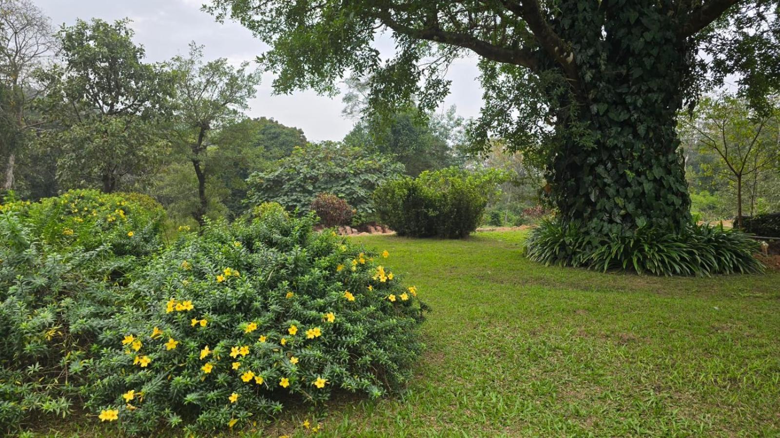 Highland Estate Hotel Sakleshpur Exterior foto